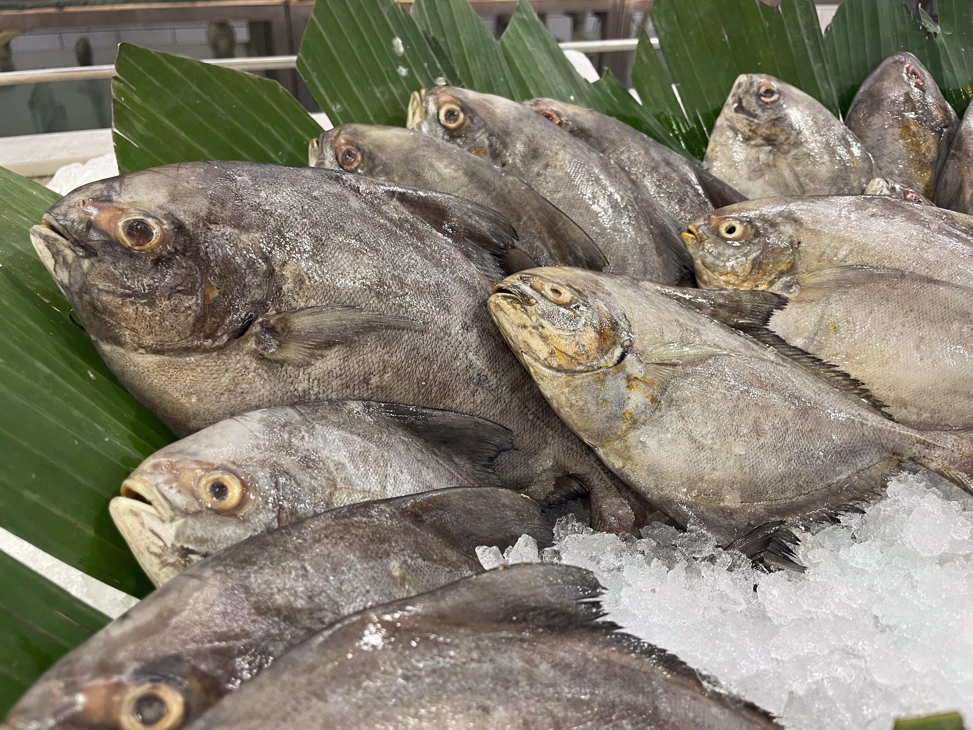 W innych krajach zakazano jej sprzedaży. W Polsce przez cały czas jest dostępna