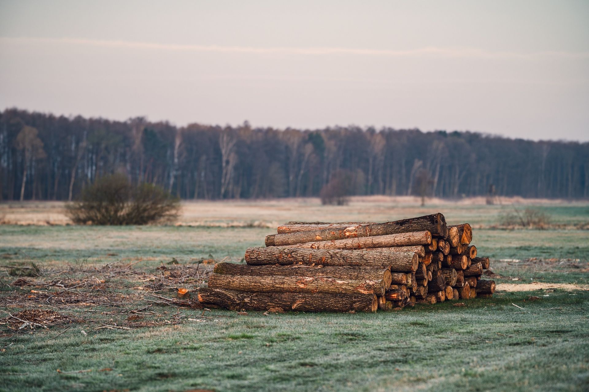 Samowyrób drewna. Oto ile kosztuje metr opału