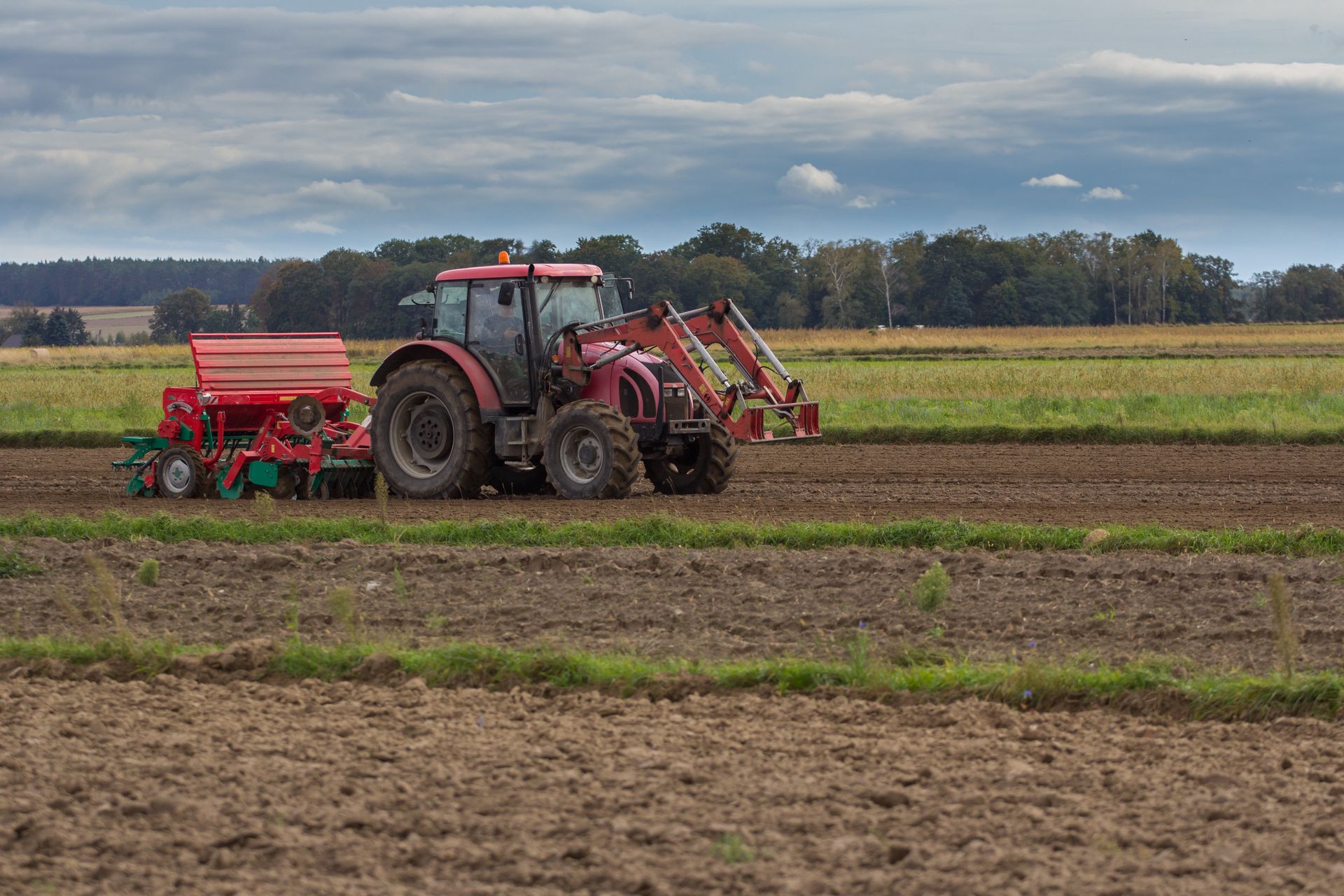 "Lepiej nie siać". Żyje w Anglii, oto na czym dzisiaj zarabia