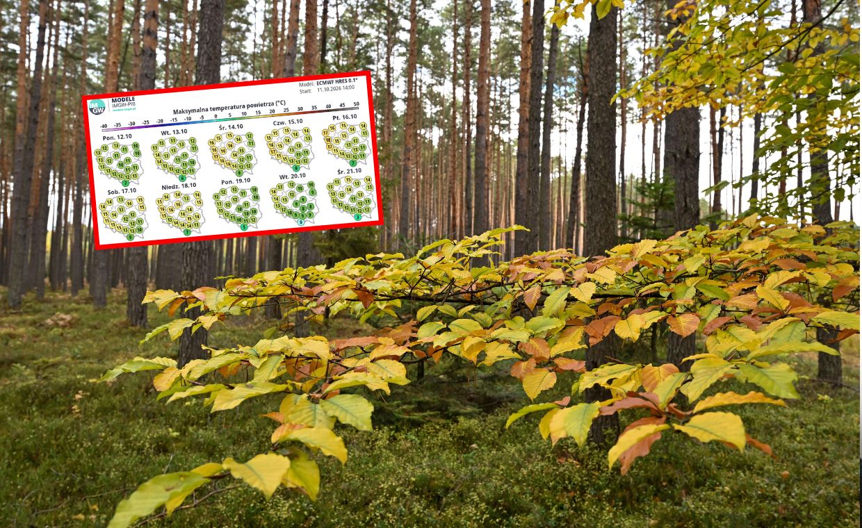 Nadchodzi jesienne ochłodzenie? W prognozach widać spadek temperatur