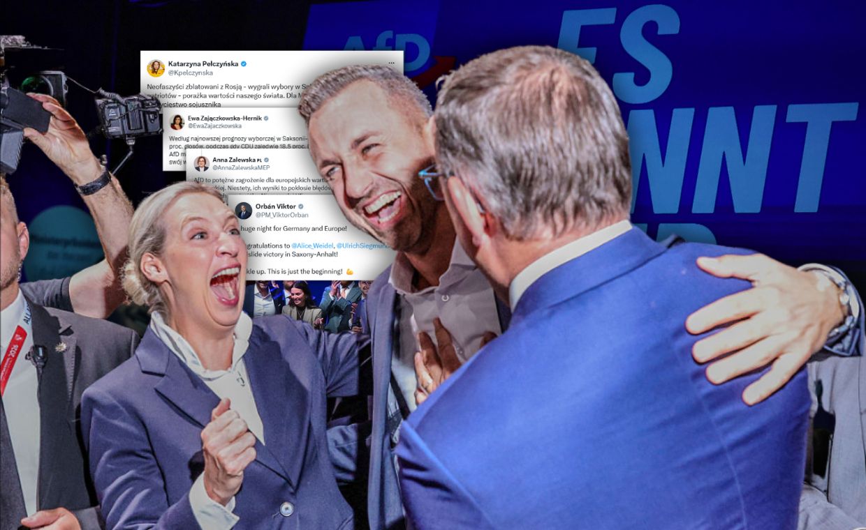 Polityczne trzęsienie ziemi w Niemczech. Wynik AfD dzieli internet