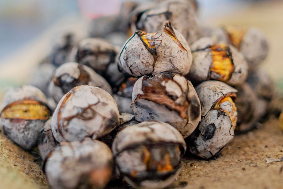 Polacy kupują coraz częściej. Niektórzy jednak popełniają błędy podczas pieczenia i wybuchają