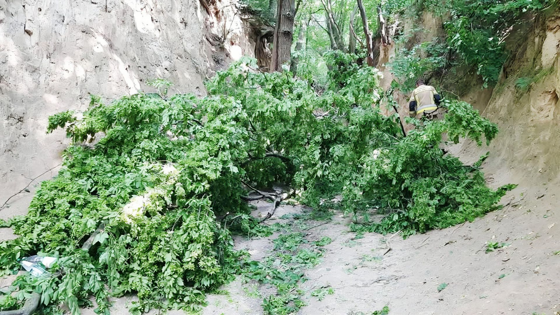 Konar spadł na dzieci. Interweniował śmigłowiec LPR
