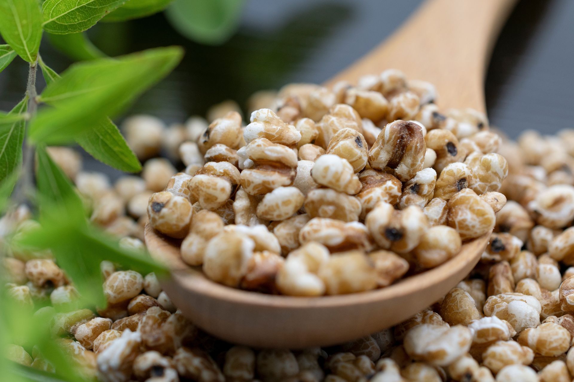 Łzy Hioba są często mylone z pęczakiem. Pomagają obniżyć ciśnienie i opóźniają starzenie