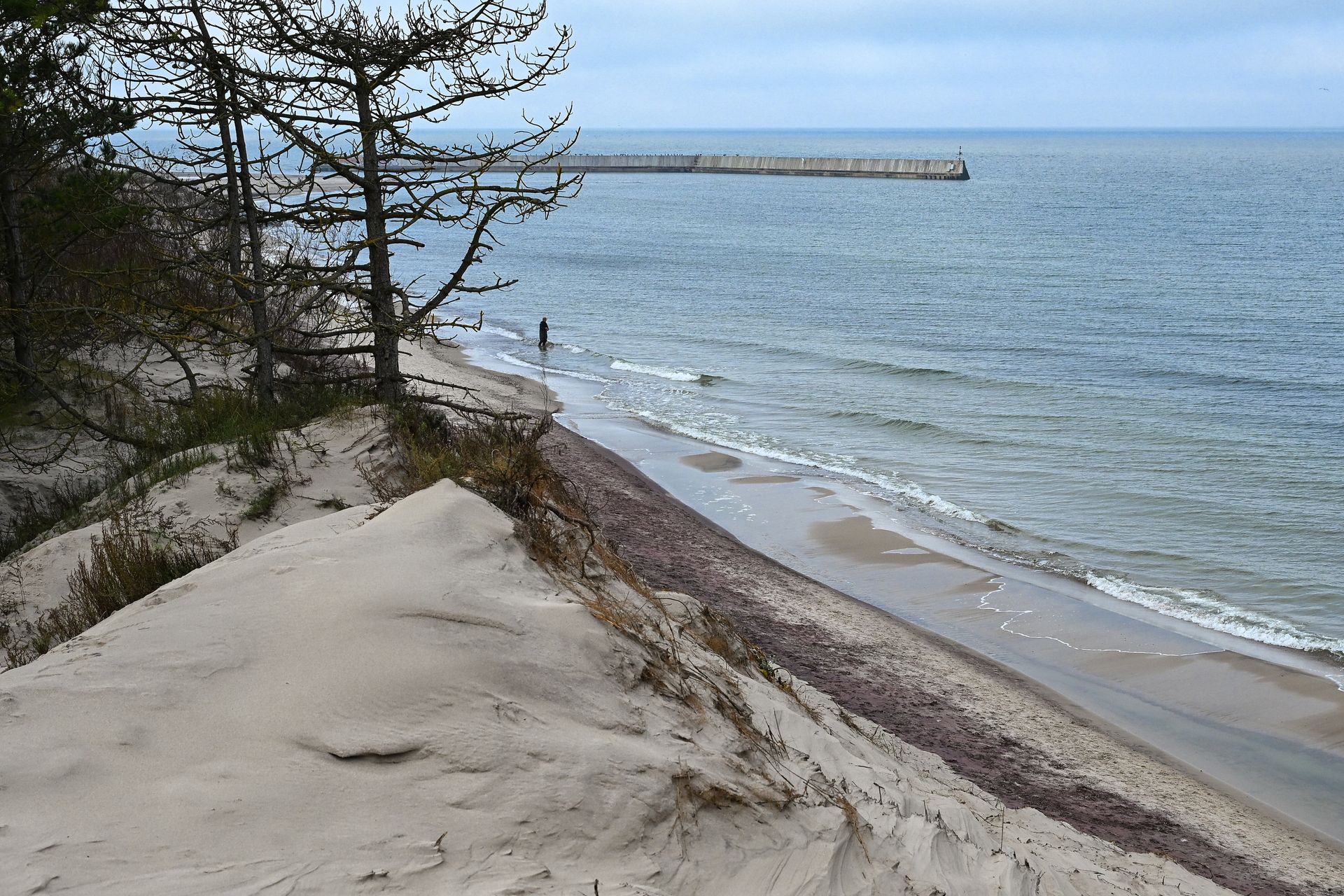 Rzadkie zjawisko w Mielnie. Plaża stała się fioletowa
