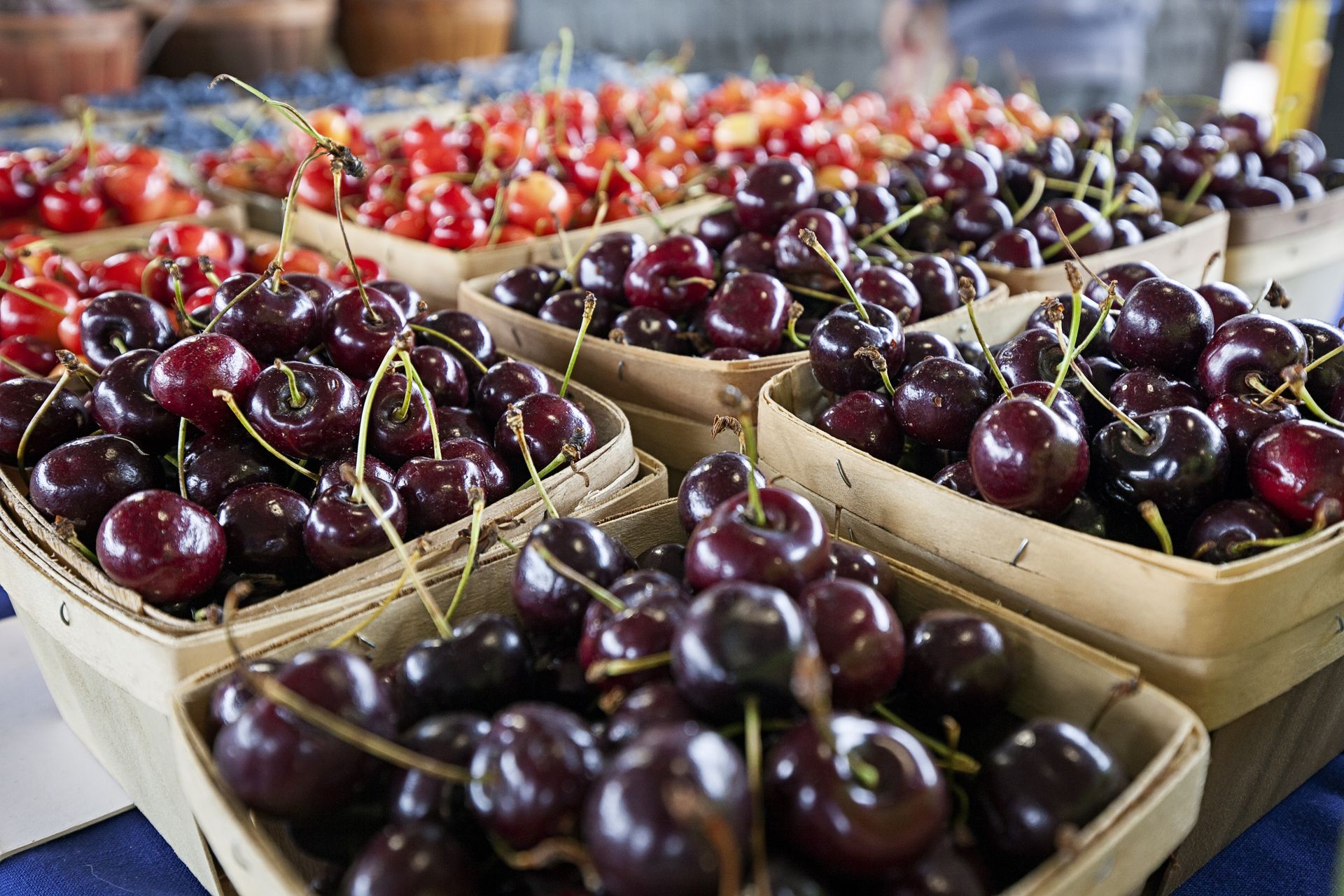 Wszystko jasne. Takie będą ceny czereśni w tym roku