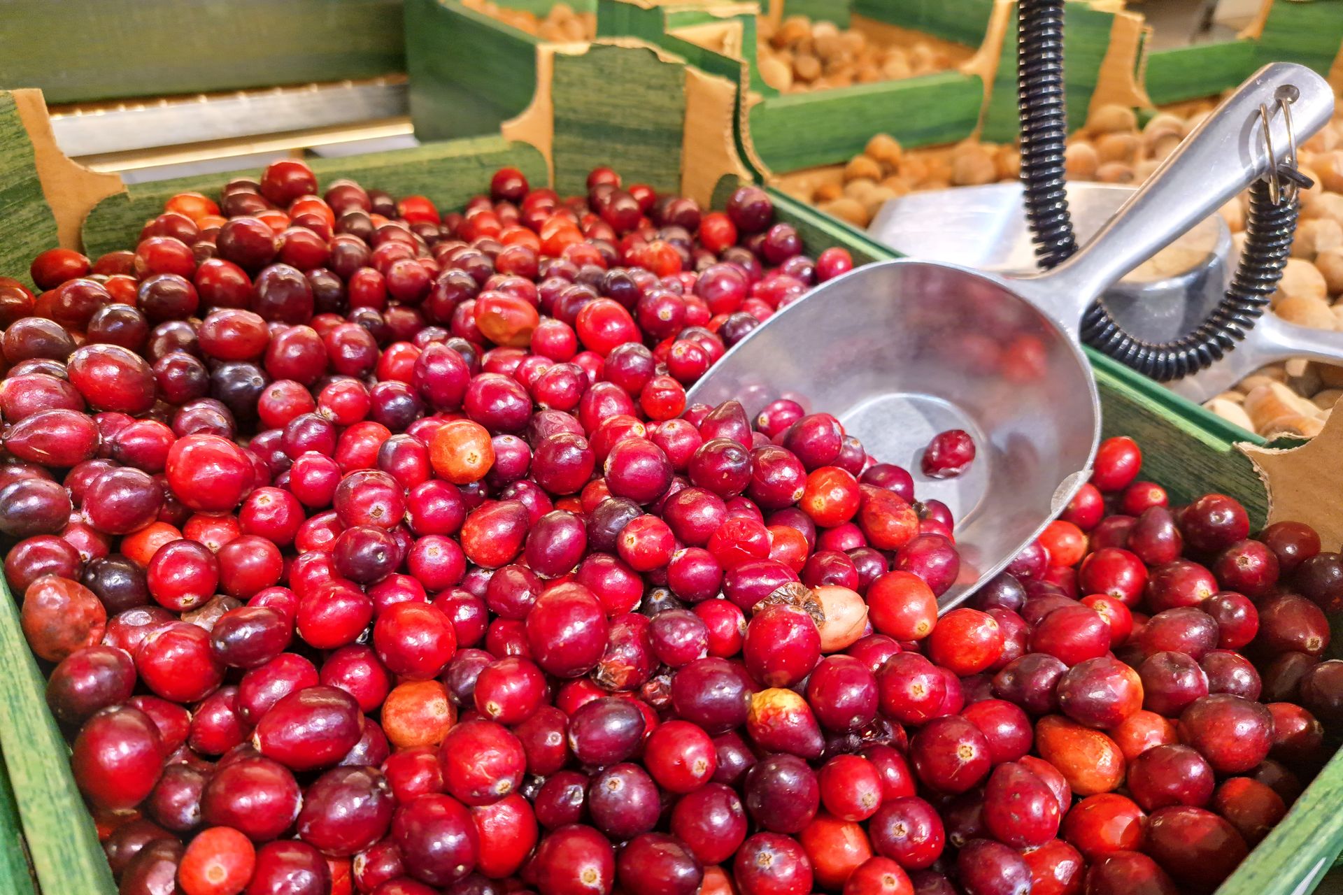 Właśnie pojawiła się na straganach. Czy można jeść surową? Rozwiewamy wątpliwości