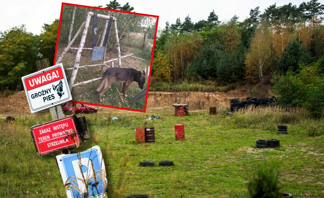 Trzy lata temu zaatakowało sześć psów. "Ja i córka byśmy nie żyły"