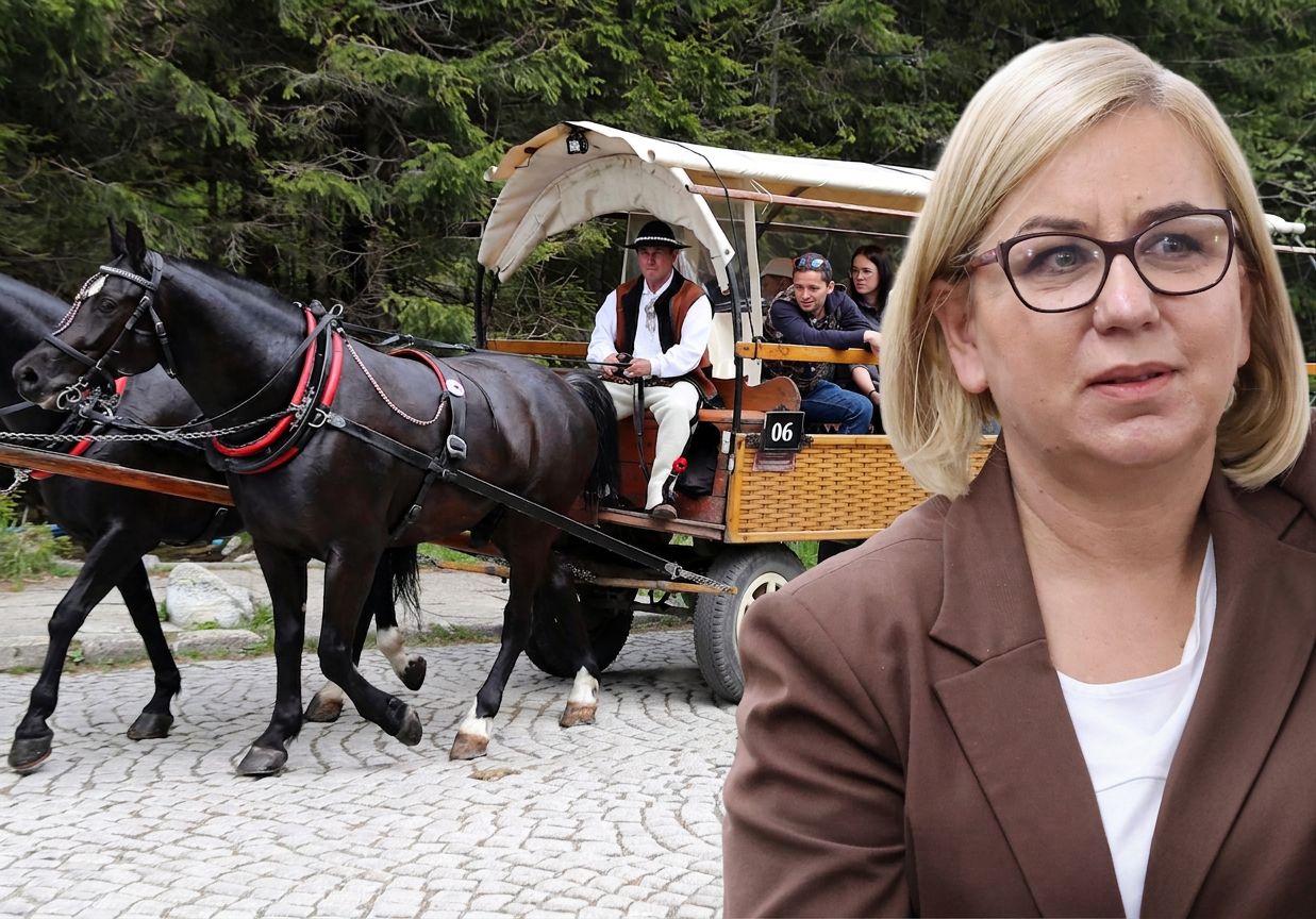 Awantura w Tatrach. Hennig-Kloska uspokaja górali i zapewnia, iż konie tu zostaną