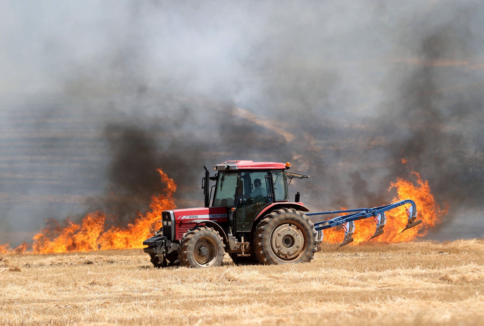 Ogromne upały w Turcji. Tak radzą sobie rolnicy