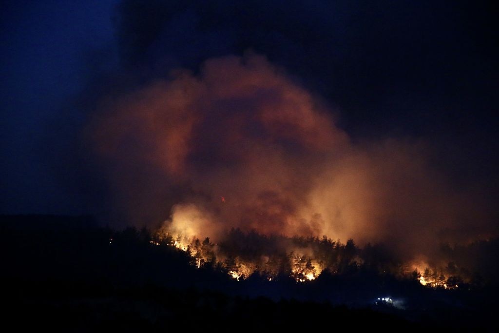 Pożary lasów w Turcji. Władze ścigają podejrzanych