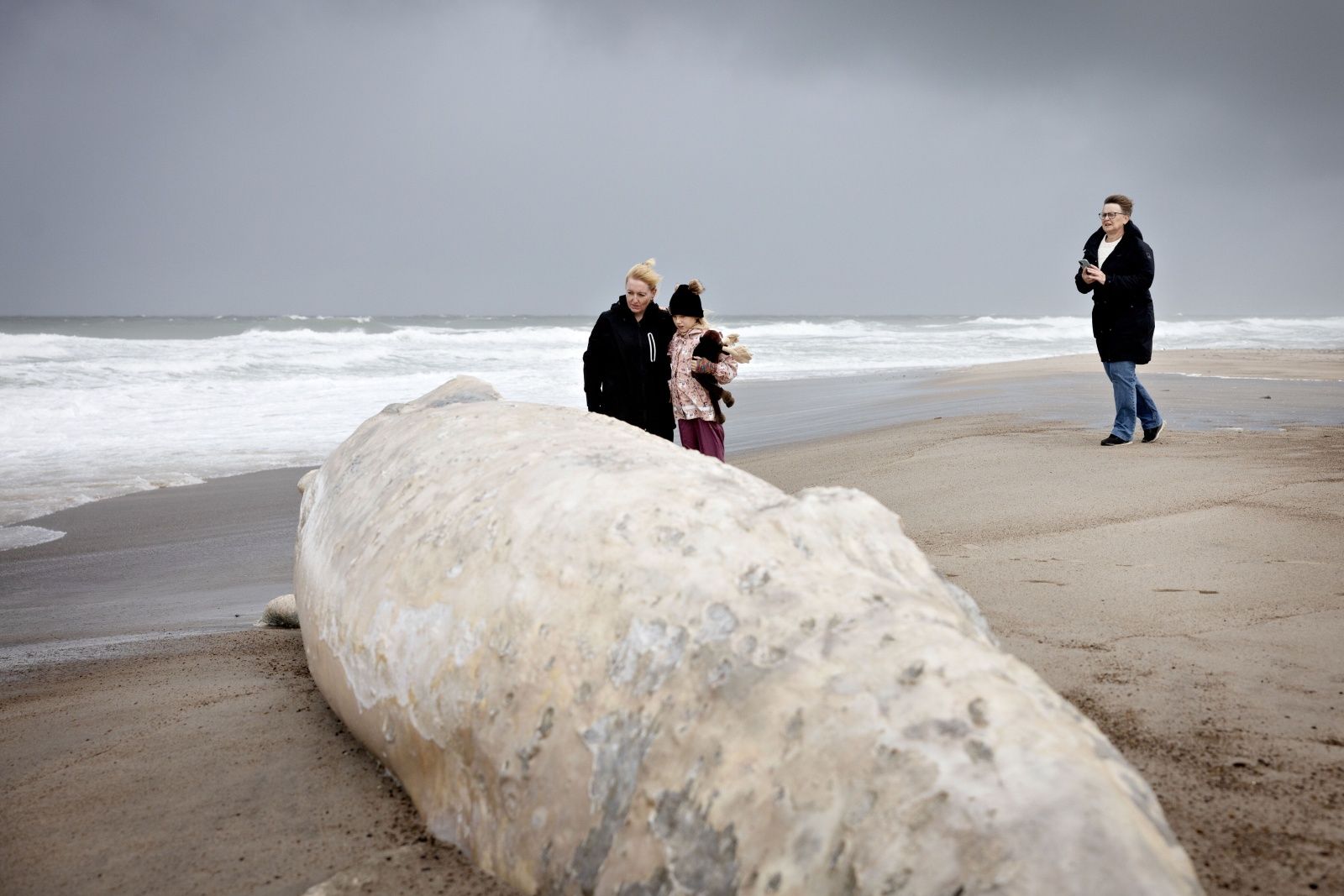 Martwy wieloryb na plaży. Schodzą się ludzie, robią zdjęcia