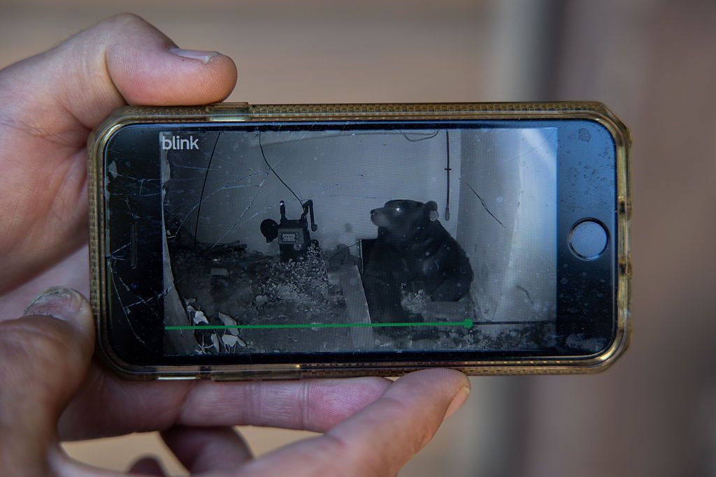 Usłyszał huk. Tajemniczy lokator przyprawił go o dreszcze