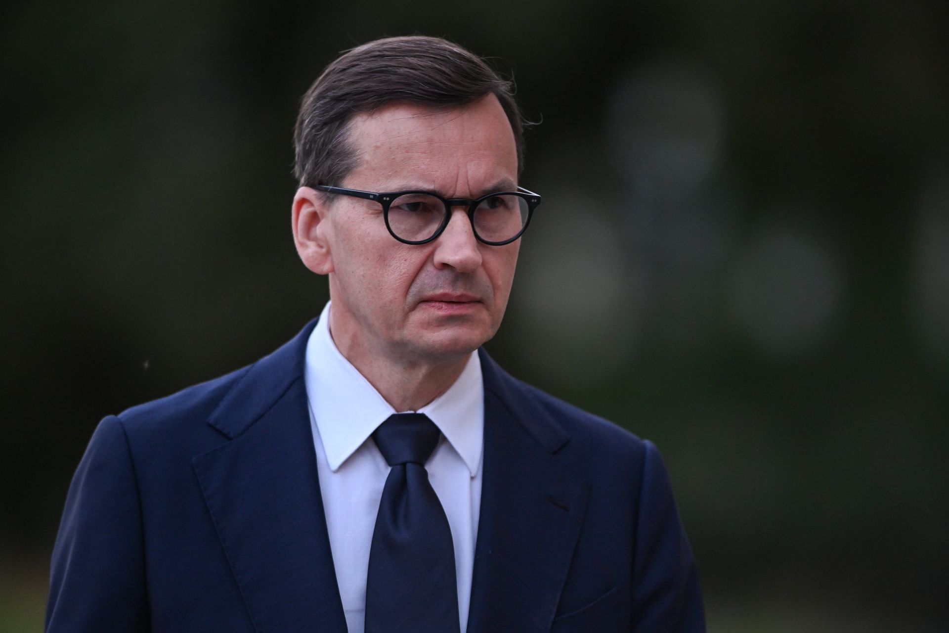 Posługują się flagą UPA? Pinokio: "Powinni być deportowani"