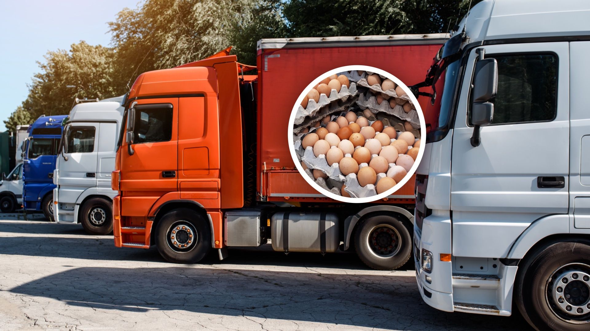 Transport z Turcji zatrzymany. To miało trafić do sprzedaży w Polsce