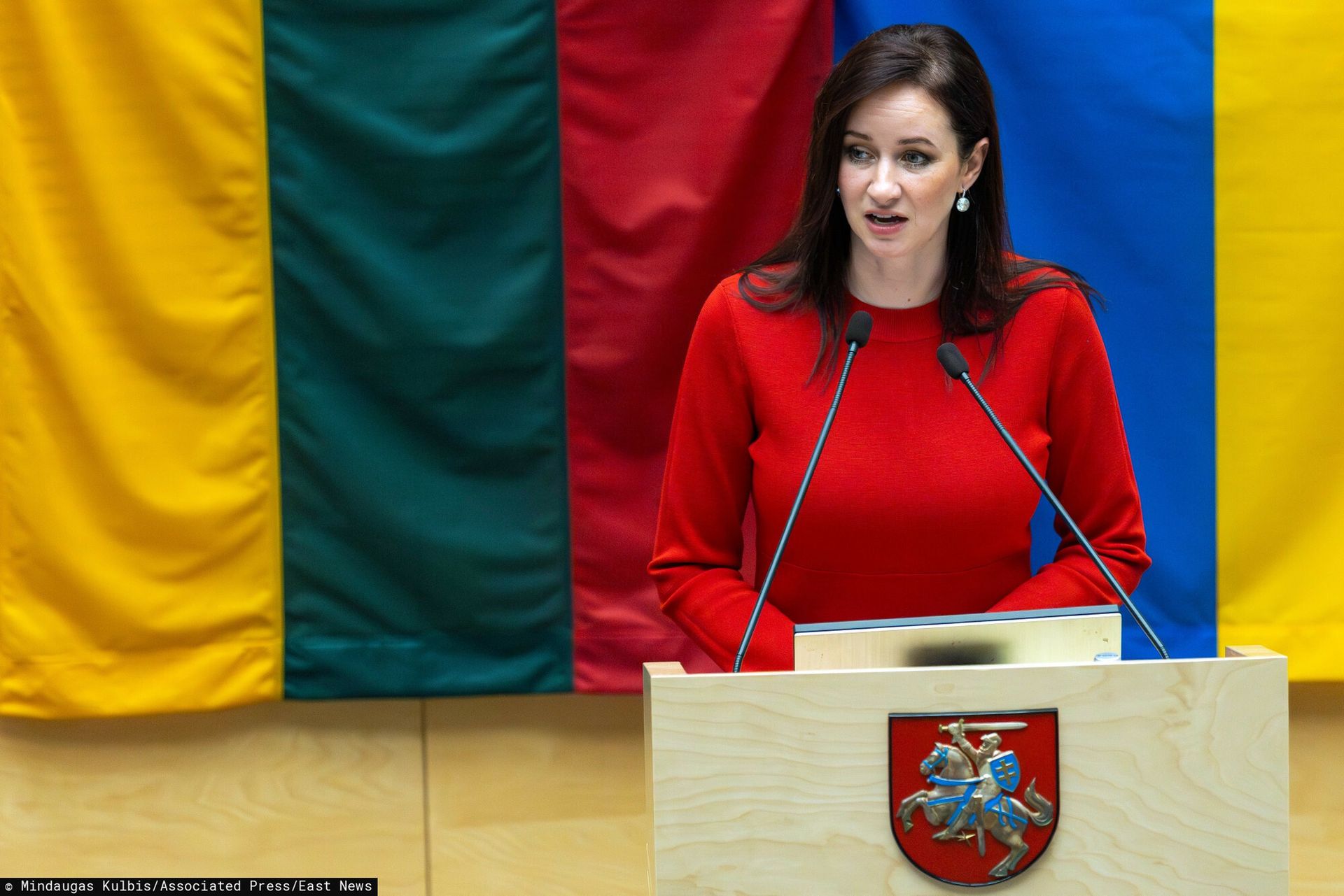 Premier Litwy chce wydalić rosyjskiego opozycjonistę. Ostre słowa