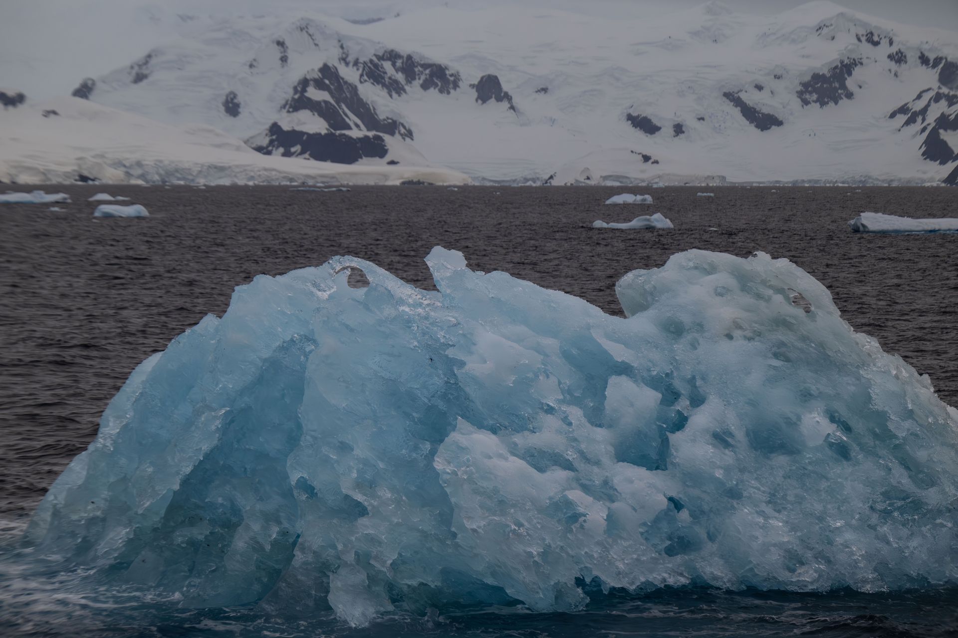 Tajemnicze sygnały z lodu. NASA nie wie, skąd pochodzą