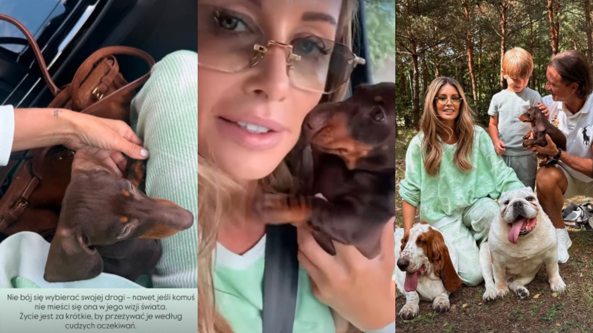 Małgorzata Rozenek KUPIŁA PSA Z HODOWLI i już się tłumaczy: "Nie żałuję"