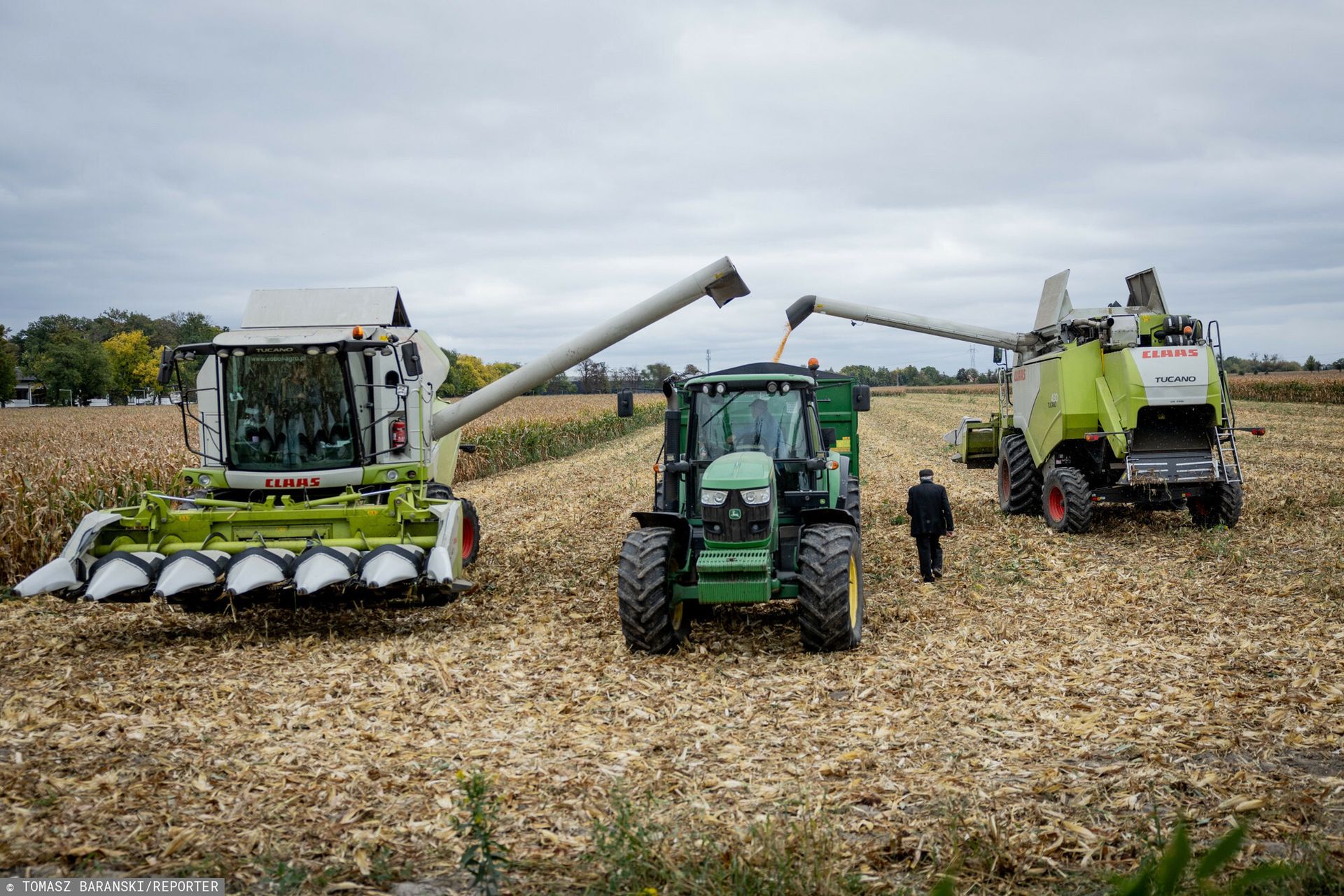 Ostatnie żniwa w tym roku. Oto jak idą zbiory na południu