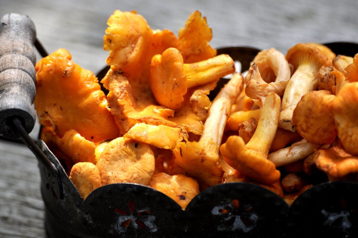 Najlepszy sposób na pozbycie się piasku z kurek. Zrobisz to gwałtownie i bez wysiłku