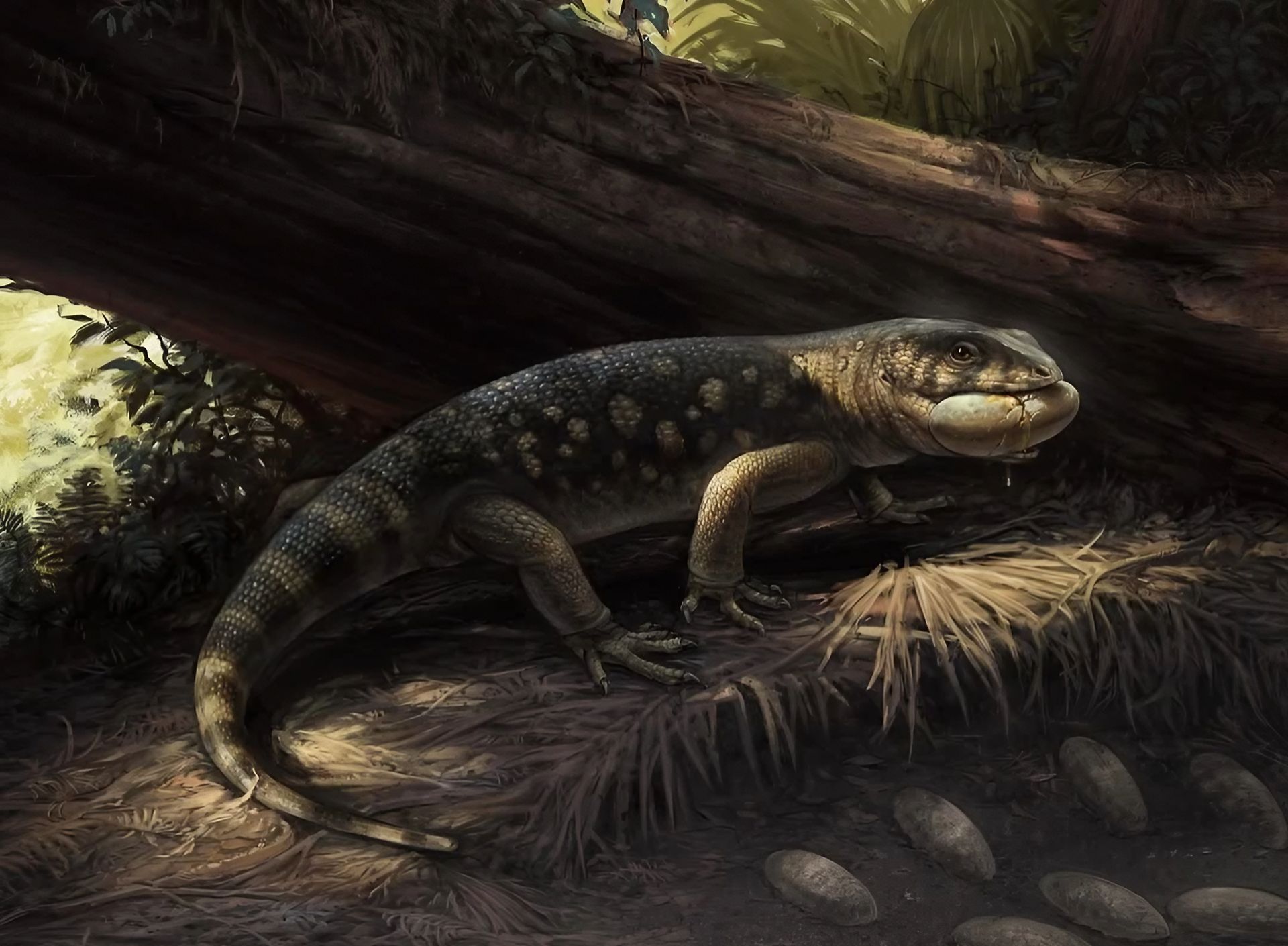 "Książę goblinów". Naukowcy odkryli wielkiego gada sprzed 76 mln lat