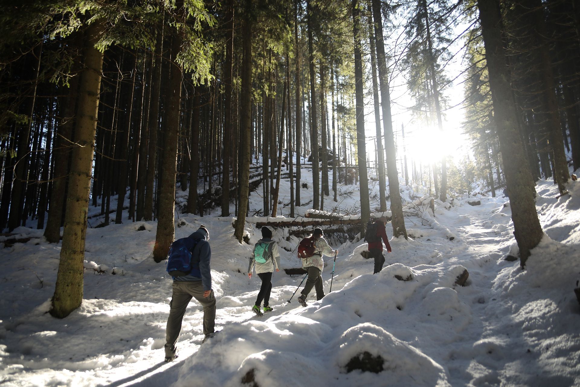 Trudne warunki w Tatrach. Śnieg, lód i silny wiatr