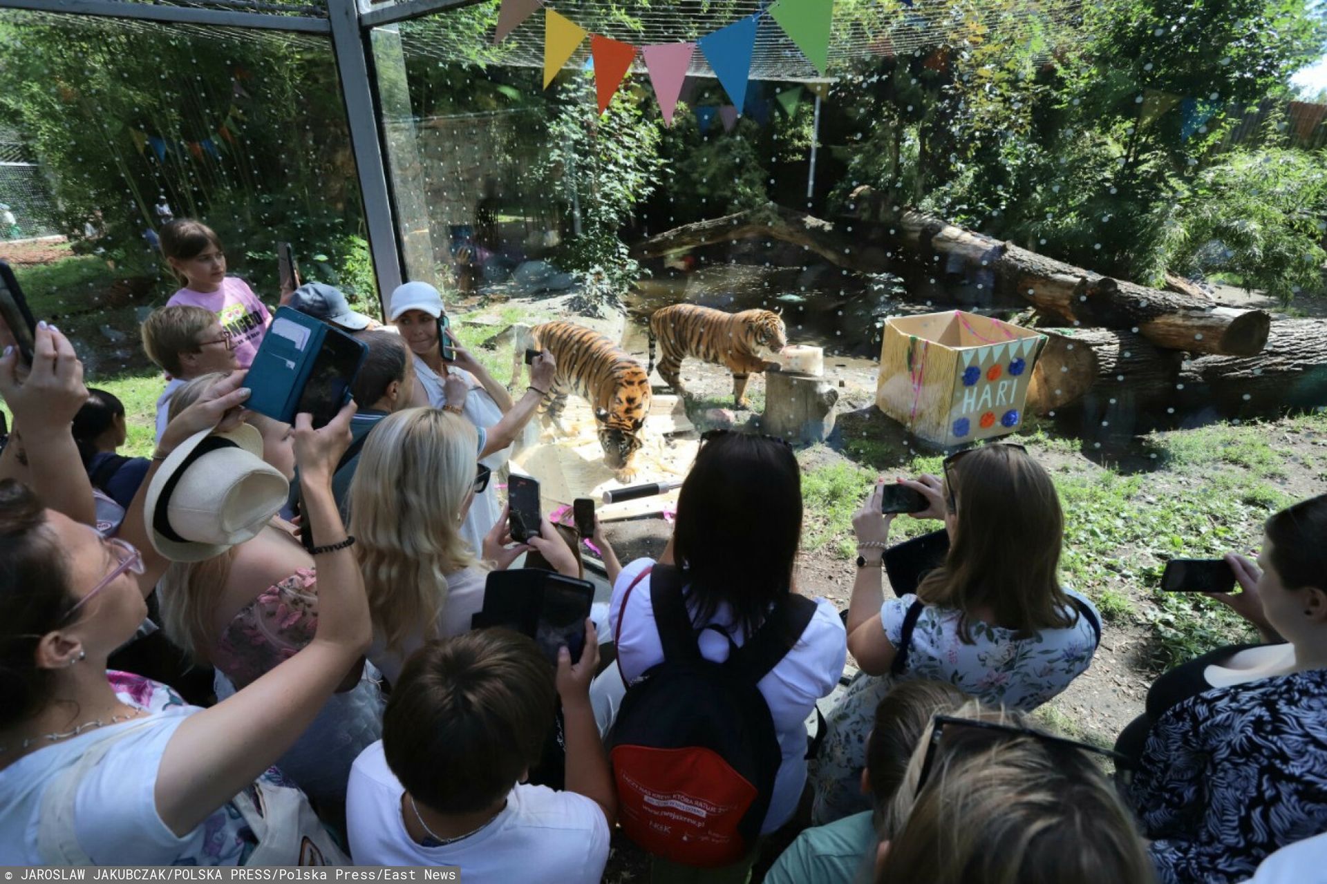 Wrocławskie ZOO ostrzega. "Chcemy Was uczulić"