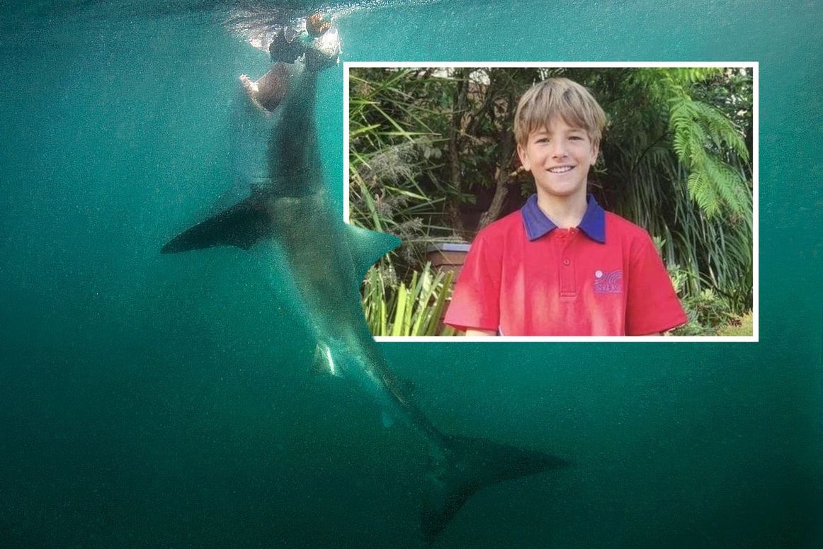 Nie żyje 12-latek po ataku rekina. Władze Sydney zamykają plaże i wzmacniają patrole