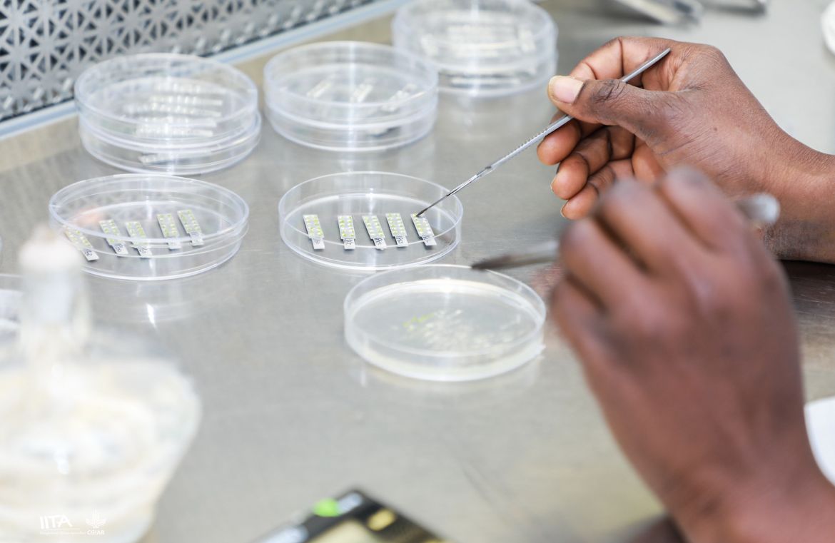 Przyczynił się do poczęcia 67 dzieci. Potem odkryto, iż ma raka