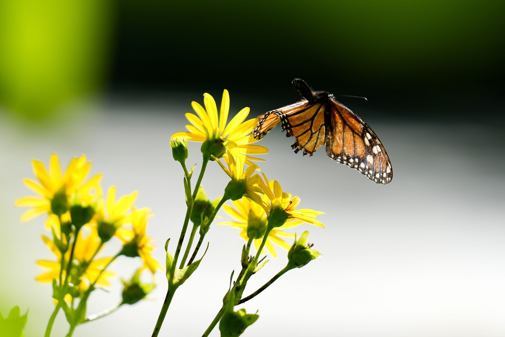 Naukowcy odkrywają niesynchroniczność pór roku na Ziemi