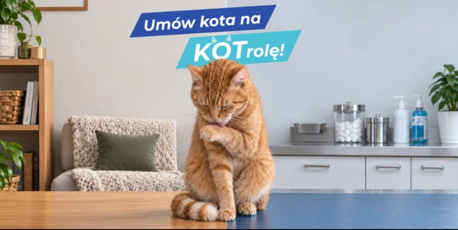 Polprovet z kampanią "Umów kota na KOTrolę!"