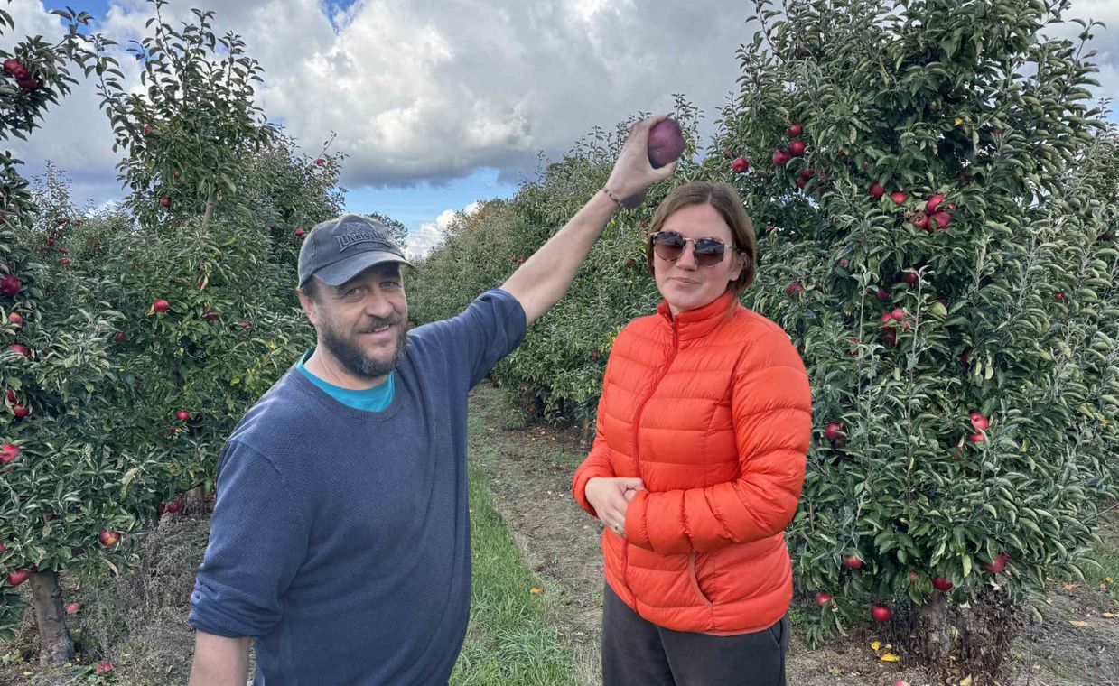 Tanie jabłka robią furorę. "Mamy pana z Mazur, który sam zbiera 400 kg"