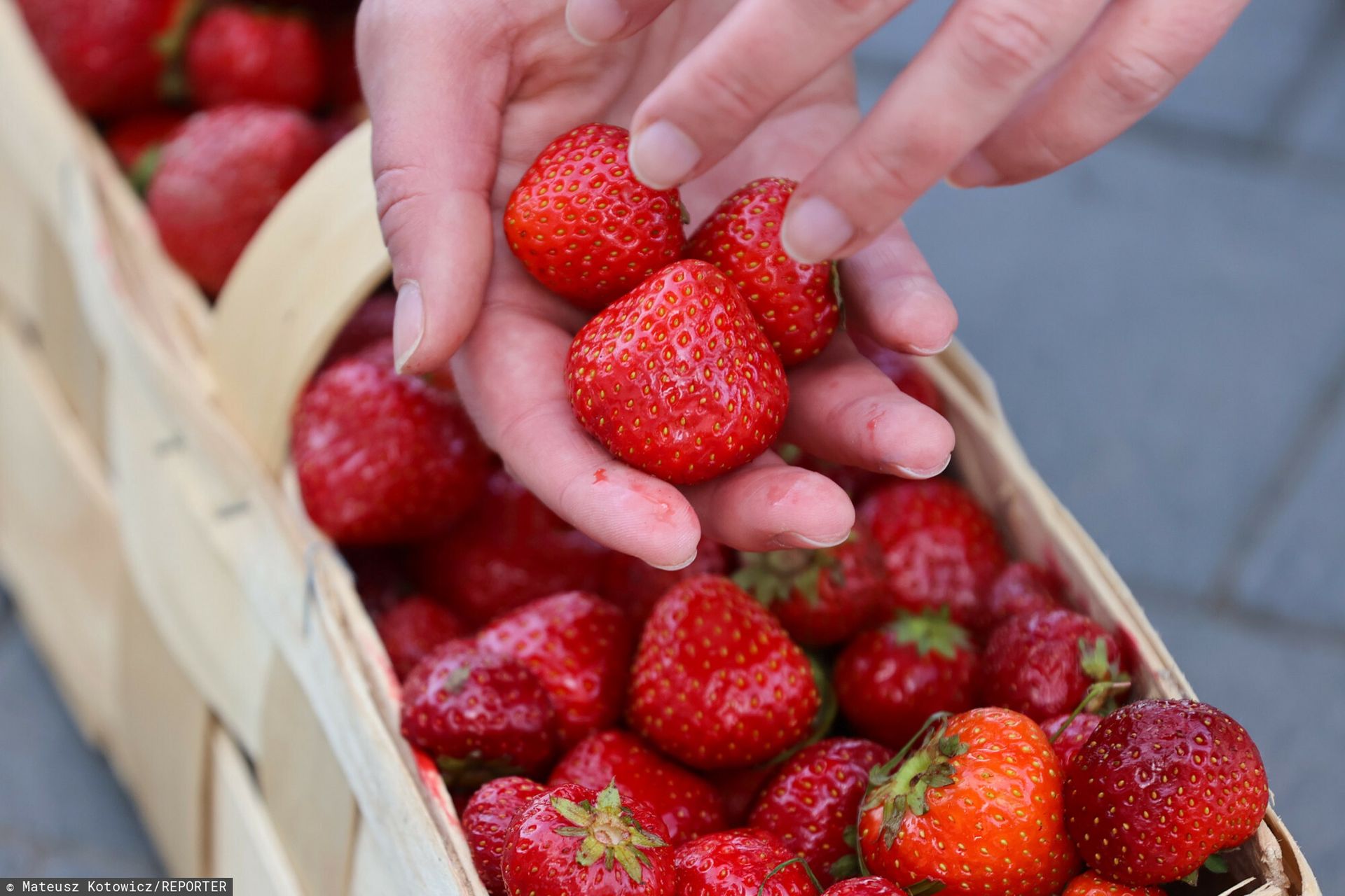 Ceny truskawek. Oto ile zapłacimy za owoce w połowie czerwca