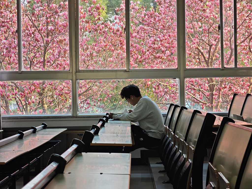 Polacy się wypowiedzieli. Mówią jasno o edukacji