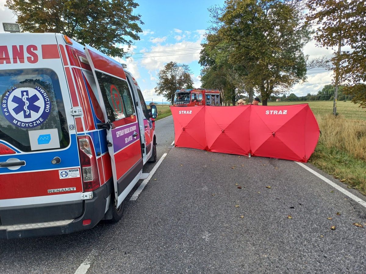 Zatrzymał się na pasie awaryjnym. Śmiertelny wypadek