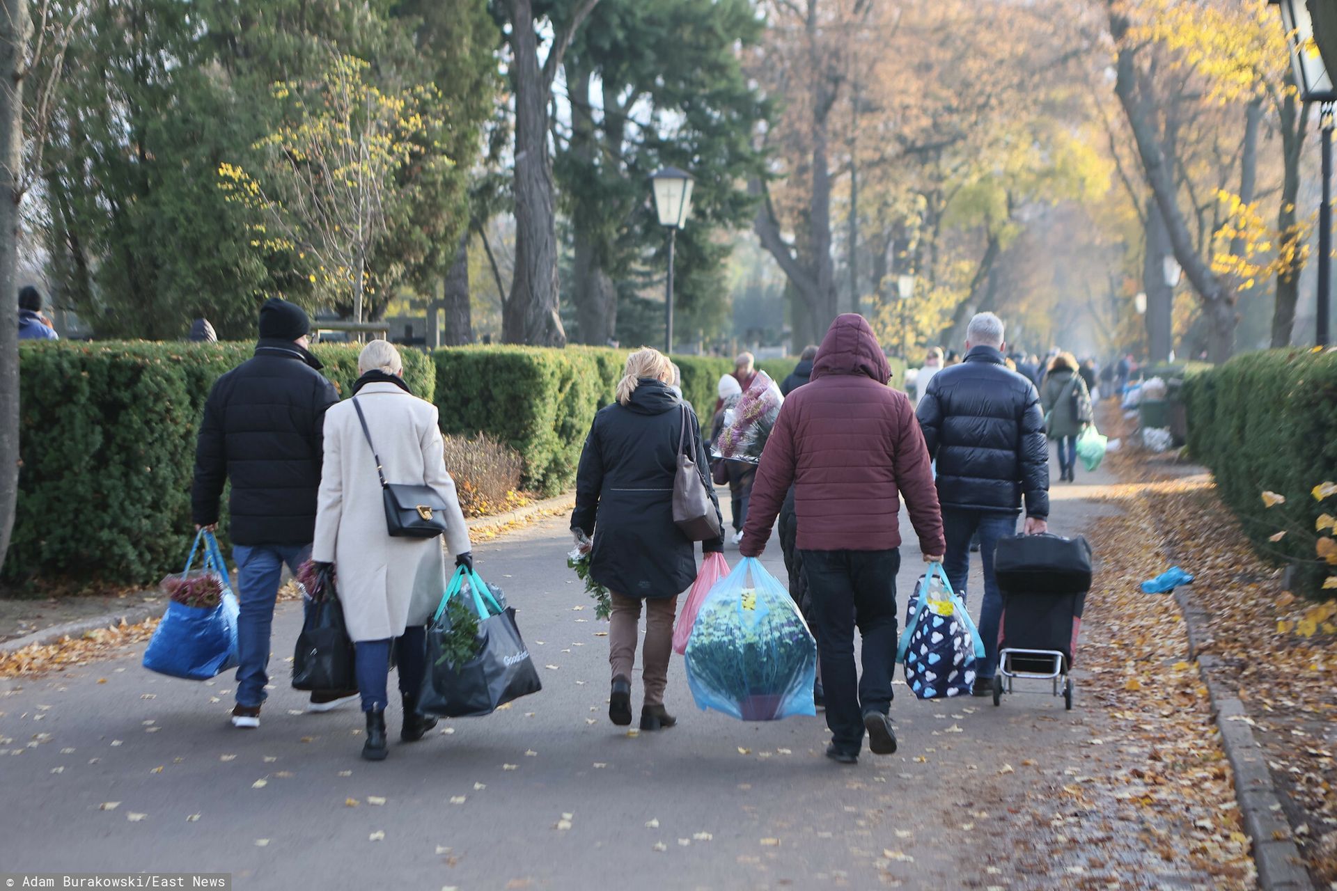 To hit cmentarzy. "Najlepszym rozwiązaniem byłoby ich wycofanie"