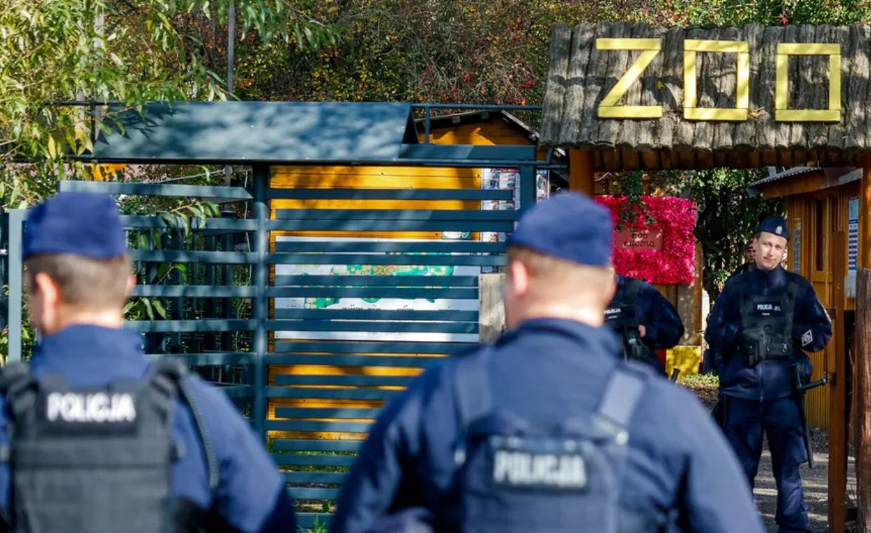 Kryzys w zoo w Łącznej. Ekspertka rezygnuje, zarzut dla policjantki