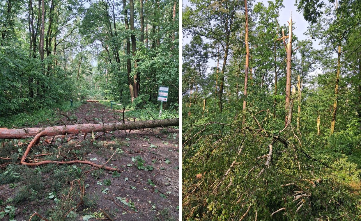 Jak po przejściu armagedonu. Wprowadzili zakaz po burzy