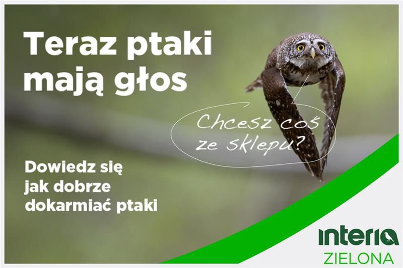 Interia z edukacyjną kampanią o ptakach