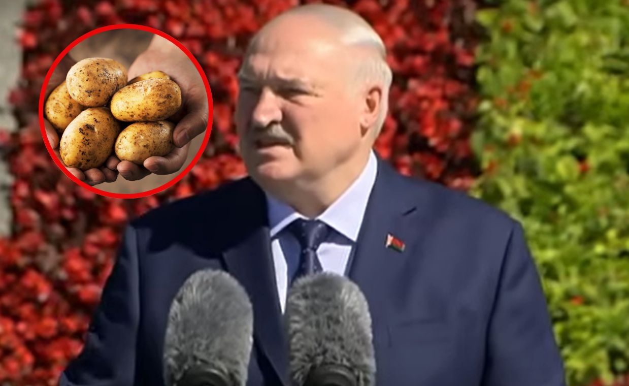 Białoruś, ziemniaki i władza totalna. Jak Łukaszenka próbuje rozwiązać kryzys?