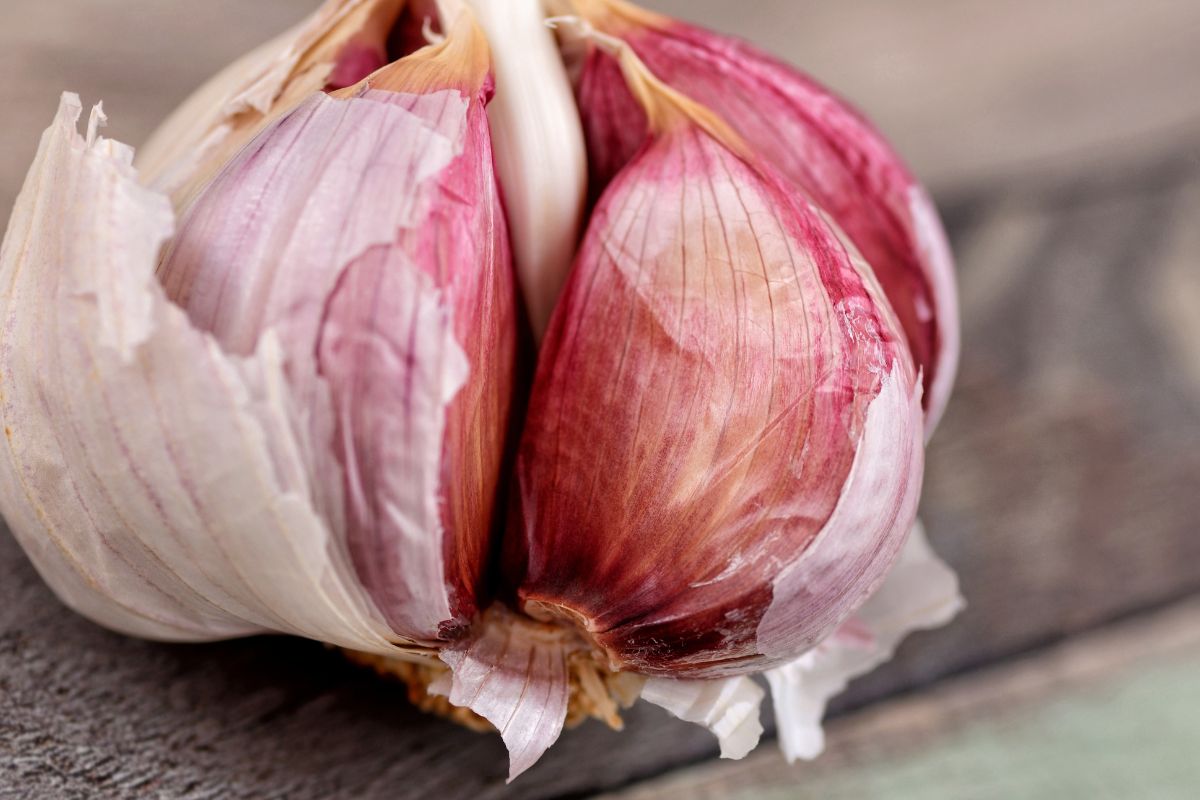 Jesz czosnek jesienią i zimą? Oto jak naprawdę działa na organizm