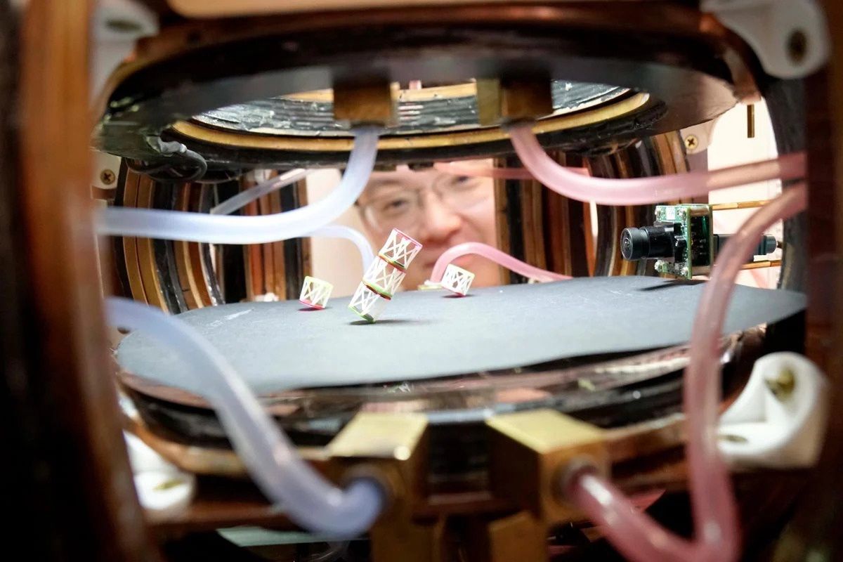 Przełomowy metabot. To robot i materiał w jednym