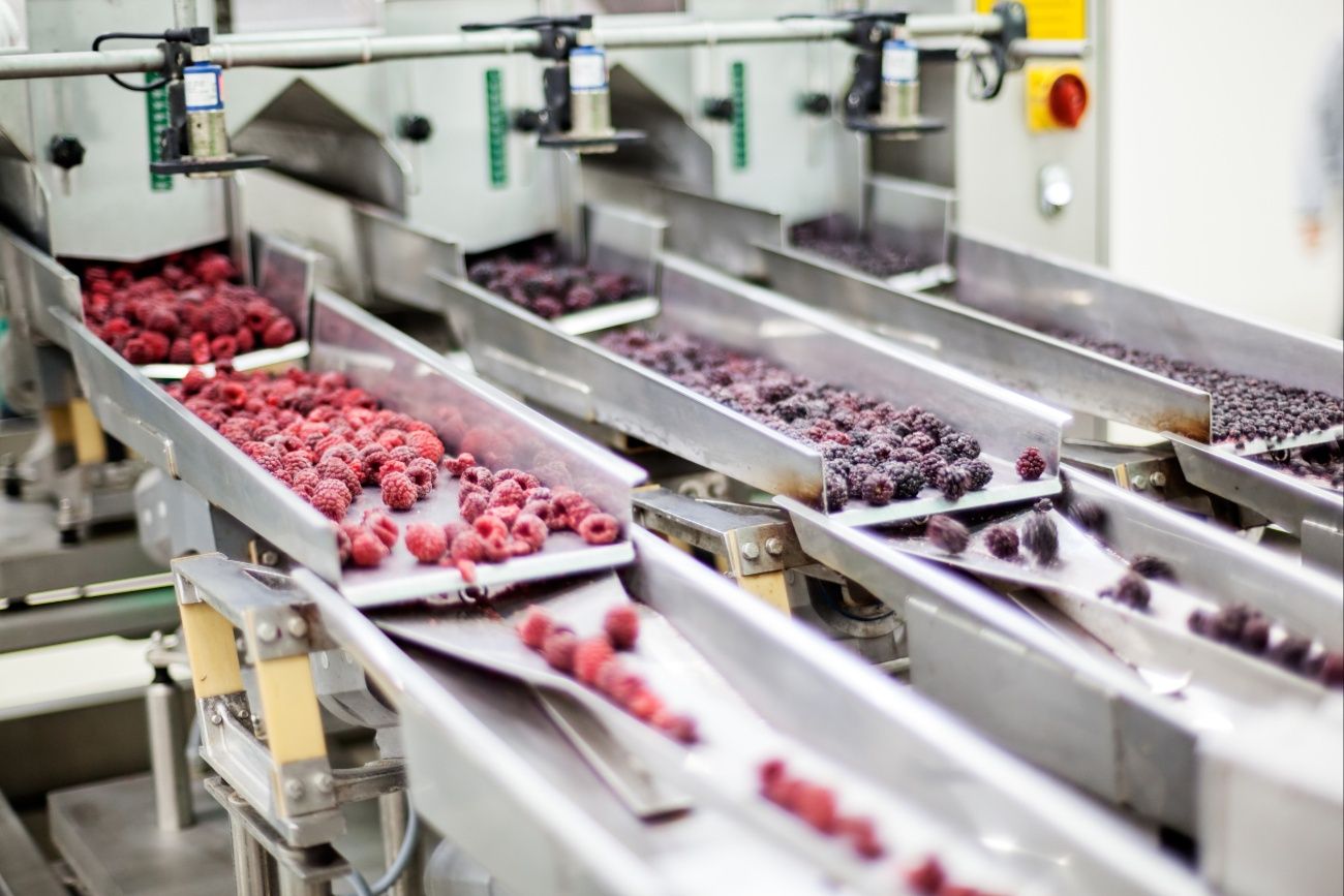 Upadły zakład przetwórczy idzie pod młotek. Cena spadła o 5 mln zł