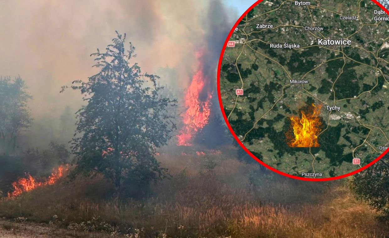 Pożar lasu na Śląsku. Dromader zrzucał wodę z powietrza