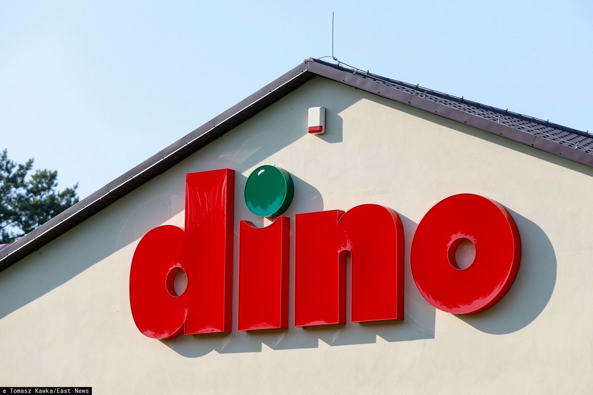 Pierwsza oferta pracy w Dino Oil. Oto kogo szuka polska sieć