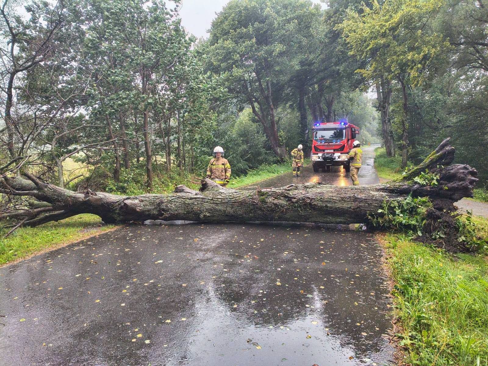 Burze na Podlasiu. 100 tys. odbiorców bez prądu