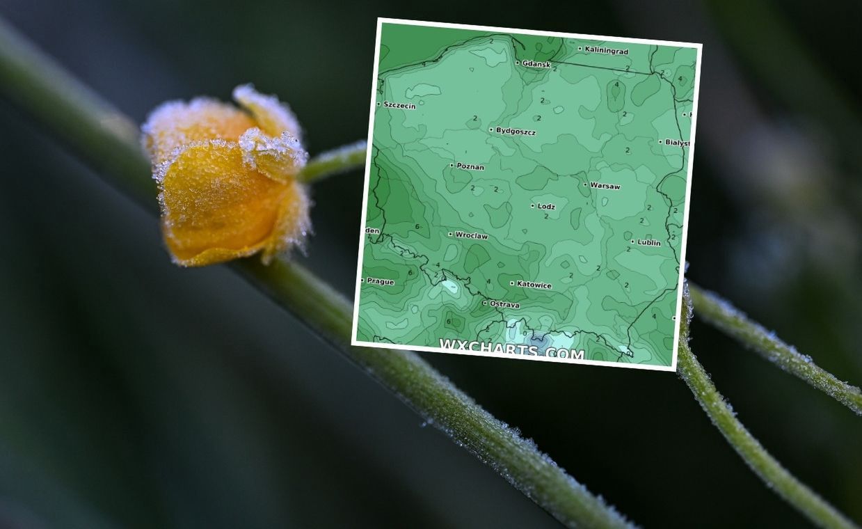 Nagła zmiana w pogodzie. To już "zimni ogrodnicy"?