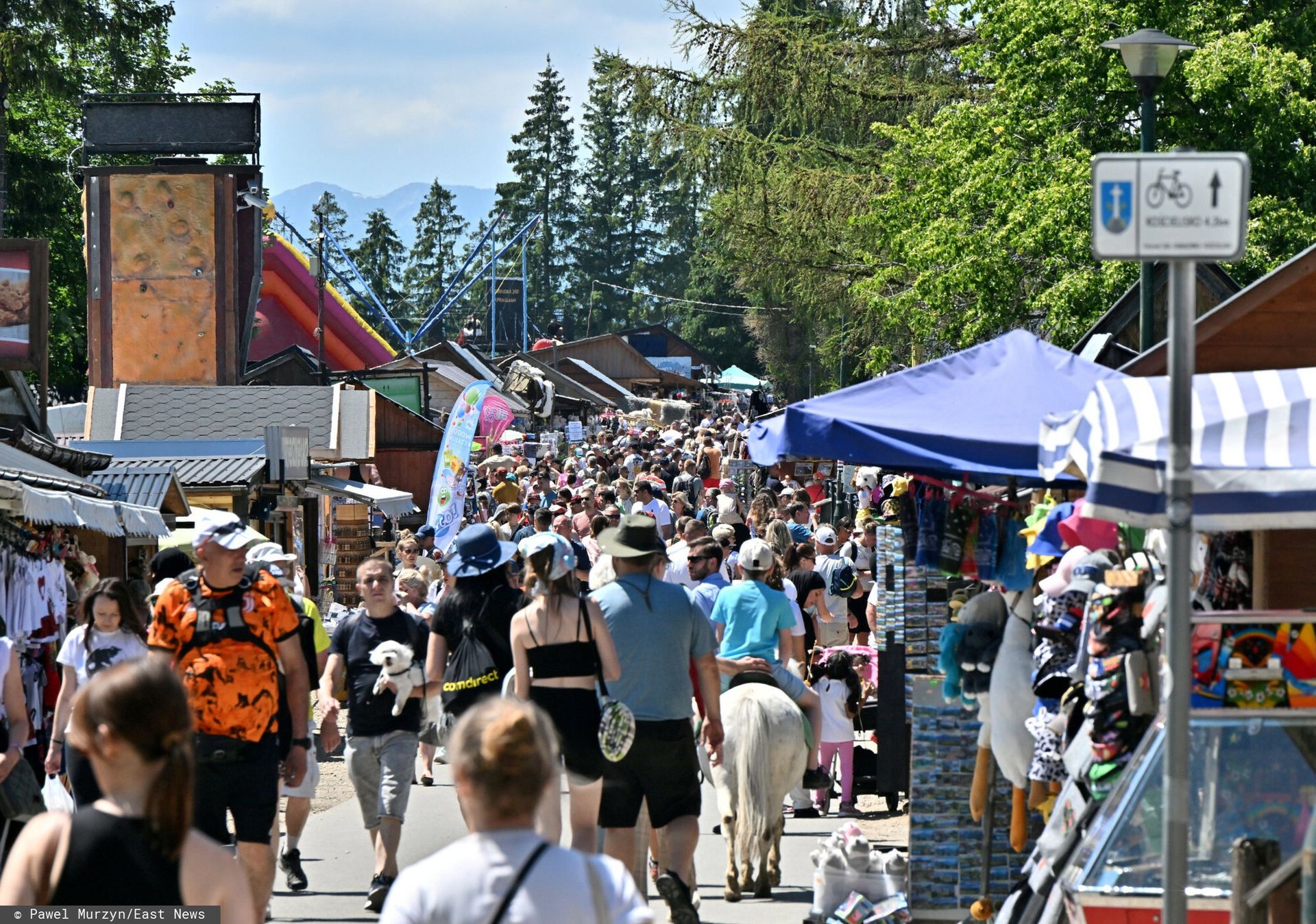 "Bardzo wstępne ustalenia". Działania policji na Gubałówce