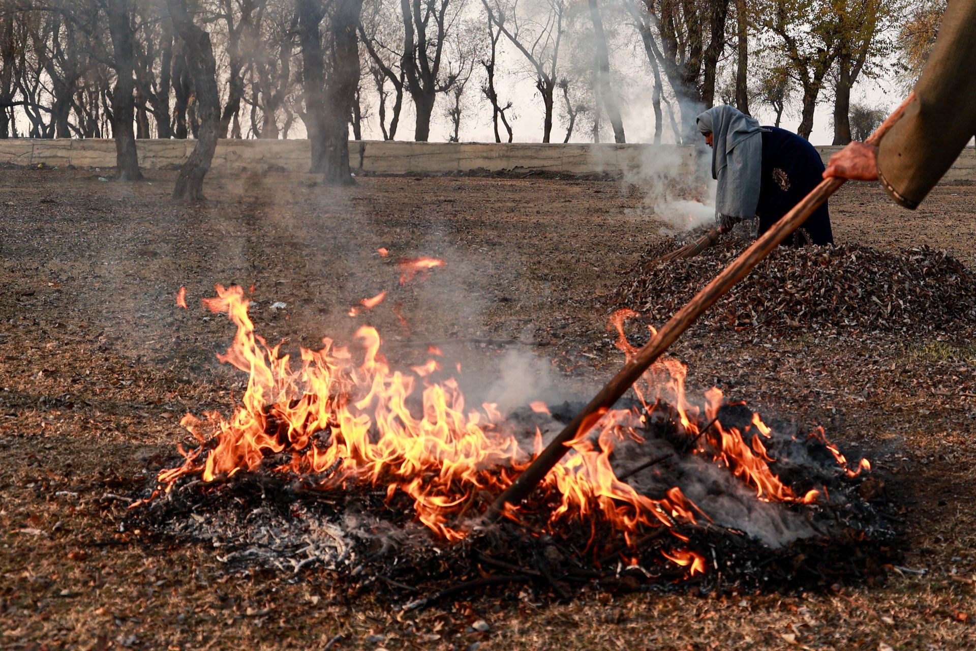 Palenie liśćmi na działce. Kary idą w tysiące złotych