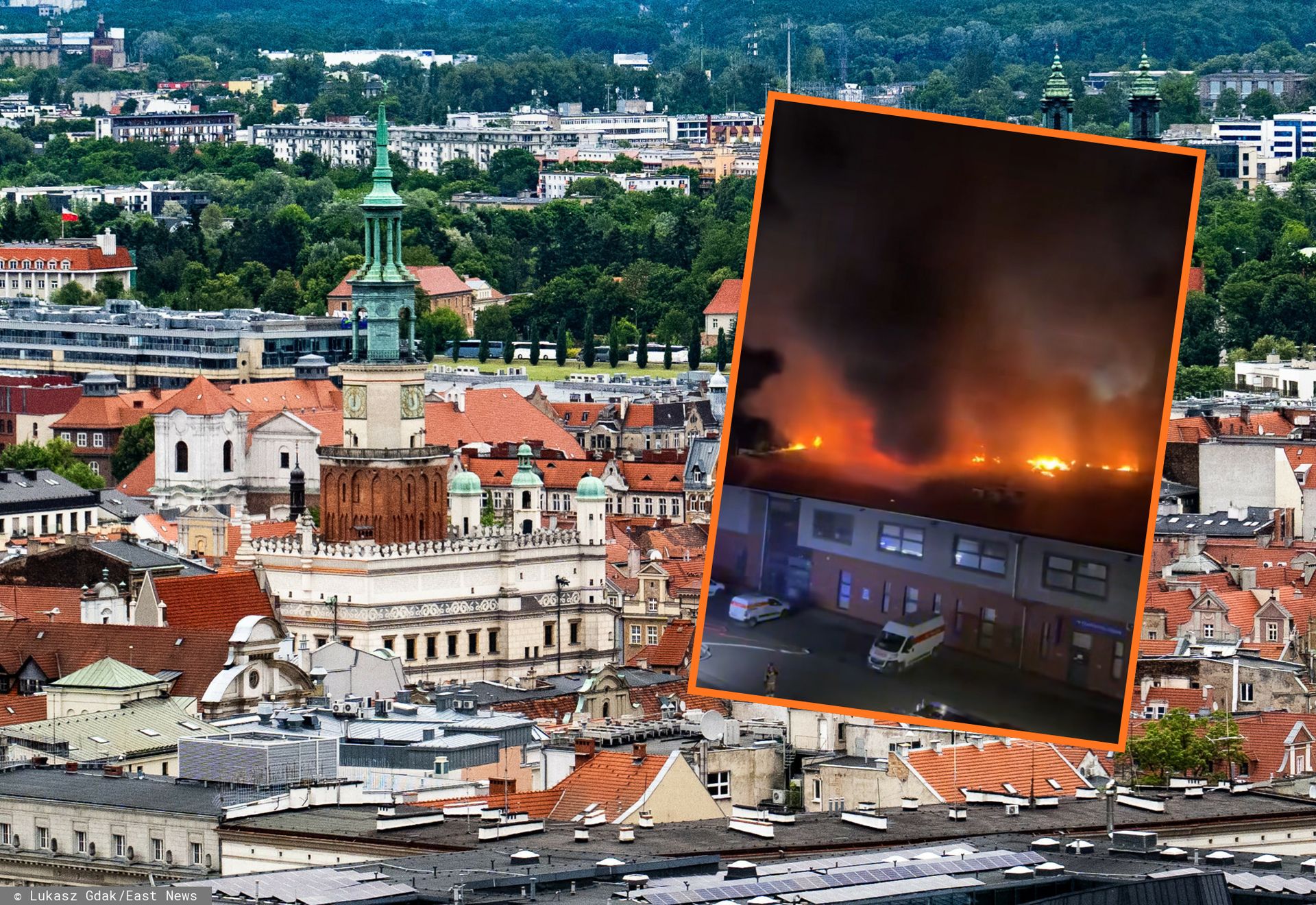 Ogromny pożar w Poznaniu. Ogień w galerii. Szukają... papug